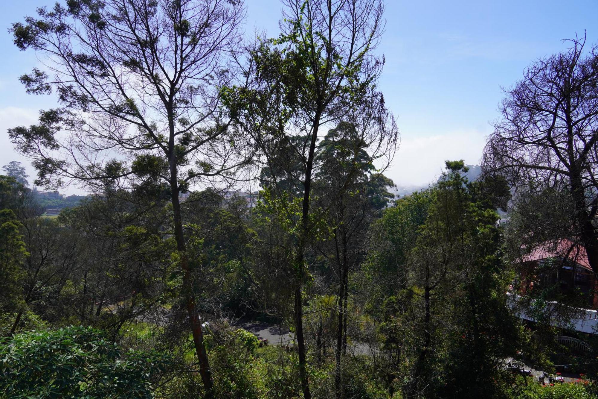 Kodai Drizzle - A Luxury Villa Кодайканал Екстериор снимка